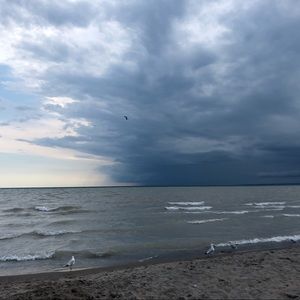 Meet your Posher, Suzanne